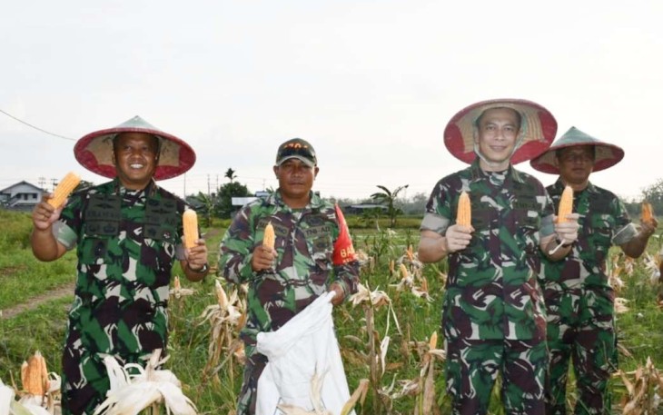 Danrem 181/PVT Brigjen TNI Wawan Erawan saat panen jagung,