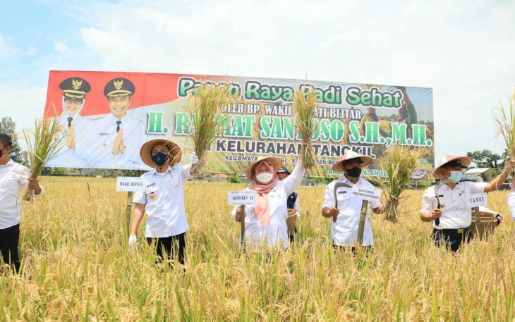 Wakil Bupati Blitar Rahmat Santoso (dua dari kiri) Saat Panen Raya Padi Bersama Petani dan Sejumlah Pejabat di Lingkungan Pemkab Blitar