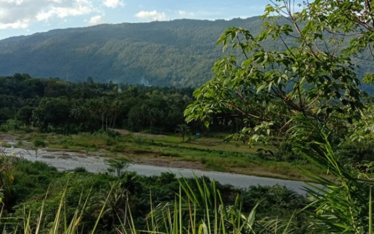 Sungai Aek Siraisan tempat biasa diadakan Tradisi Mamasu Danon. (Sumber: Dok. Pribadi)