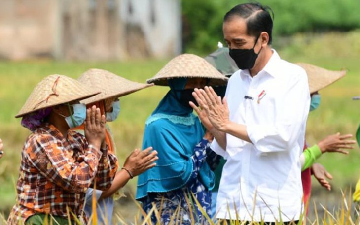 Presiden Joko Widodo saat menjumpai para petani. (Foto: twitter@jokowi)