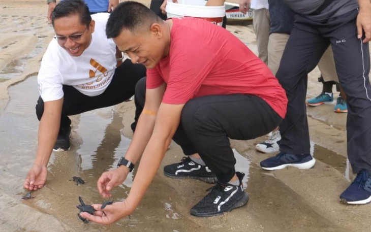Pangdam Lepas Puluhan Tukik saat Jalan Santai di Pantai Sanur