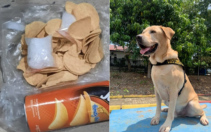 Luigi, Anjing Pelacak Bea Cukai Batam dan barang bukti sabu-sabu