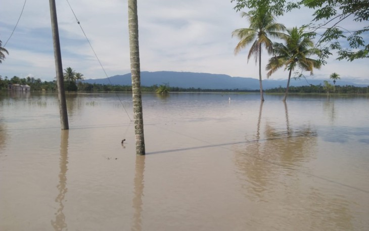 Areal persawahan yang terendam banjir