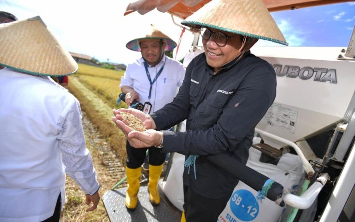 Mendes PDTT Abdul Halim Iskandar saat di lokasi panen raya Kampung Telagasari Distrik Kurik Kabupaten Merauke, Senin (12/12/2022).