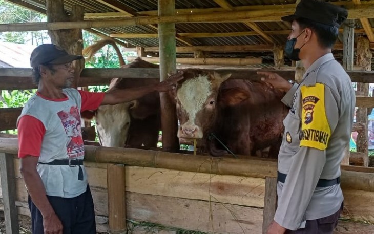 Bhabinkamtibmas Polsek Kepahiang saat Edukasi Warga Pemilik Ternak