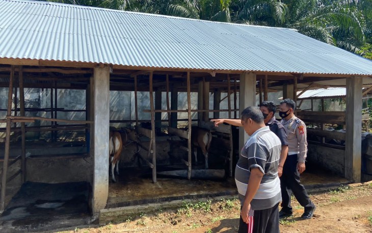 Bhabinkamtibmas saat Bergerak Rutin Monitoring Ternak