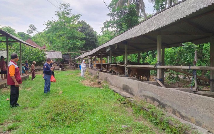 Satgas PMK Nasional saat Tinjau Aktivitas Biosecurity di Karangasem