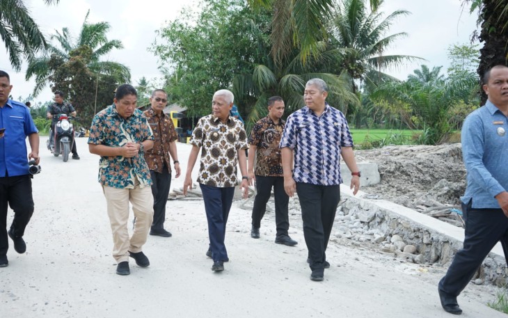 Bupati Asahan Tinjau Jembatan di Kecamatan Rawang Panca Arga