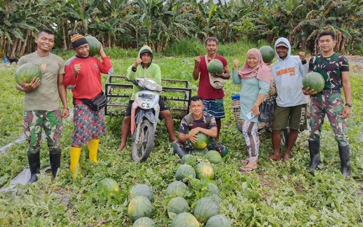 Satuan Tugas Pengaman Perbatasan Statis RI-PNG Sektor Utara Yonif 122/TS  membantu masyarakat dalam proses panen hasil berkebunp buah semangka, Senin, (11/12/2023)