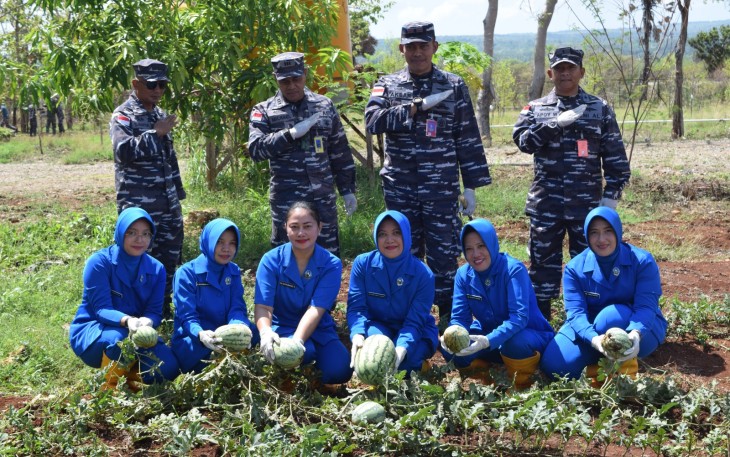 Komandan Pangkalan Udara TNI Angkatan Laut (Danlanudal) Kupang Puspenerbal, Mayor Laut (P) Arief Sukmono Akbar bersama Ketua Cabang 9 Gabungan Jalasenastri Puspenerbal dan Pengurus serta seluruh Personel, turut dalam proses panen buah Semangka, Kunyit serta Madu