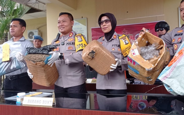 Polres Pasaman Barat Gelar Konferensi Pers Kasus Pidana Narkotika Jenis Ganja 