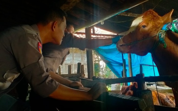 Kapolsek dan Danramil Cepu dampingi DP4 mengecek kandang sapi di Desa Cabean kecamatan Cepu, Blora.