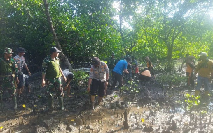 Kodim 1416/Muna Tanam Pohon Mangrove