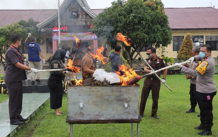 Satresnarkoba Polres Pasaman Barat gelar kegiatan pemusnahan barang bukti Narkoba jenis daun ganja kering hasil tangkapan Satresnarkoba Polres Pasaman Barat, Selasa (12/12/2023)