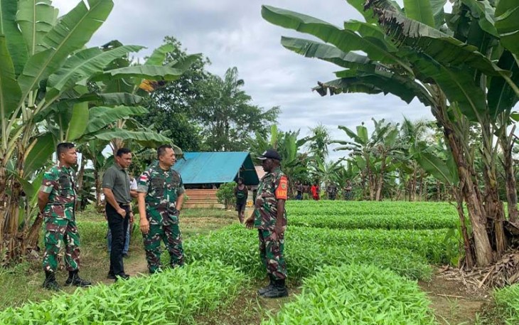 Dandim 1710/Mimika saat dampingi Danrem 174/ATW Tinjau Lahan Kebun Pisang dan Sayuran