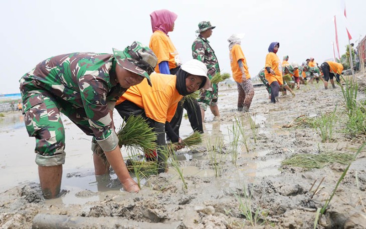 Gerakan Nasional Ketahanan Pangan