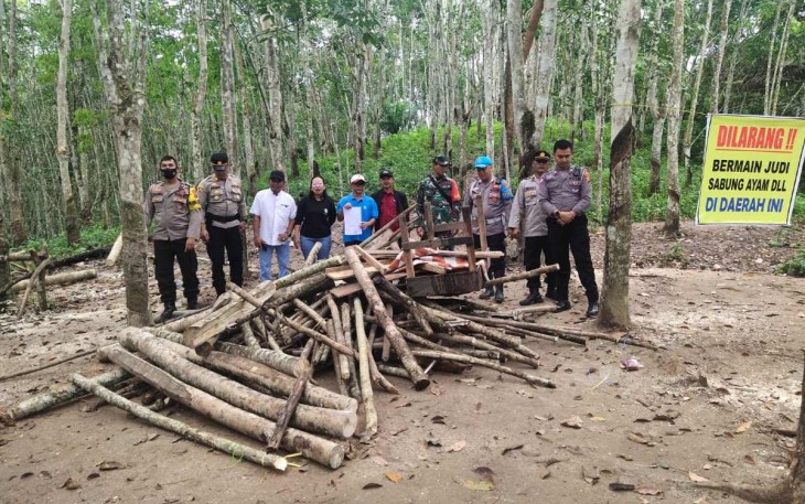 Serka Nasrullah saat pembongkaran lokasi judi sabung ayam
