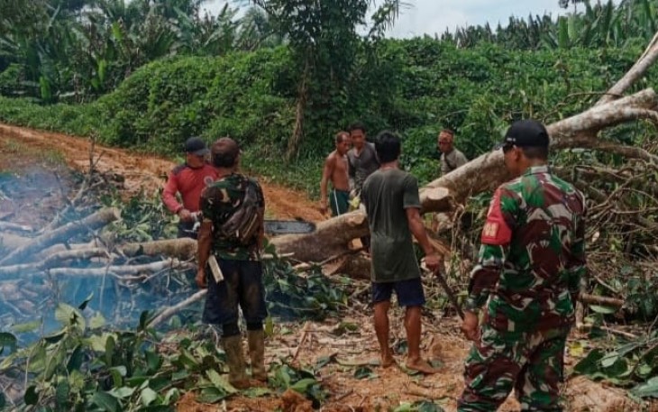 Evakuasi pohon tumbang di jalan desa perbatasan 
