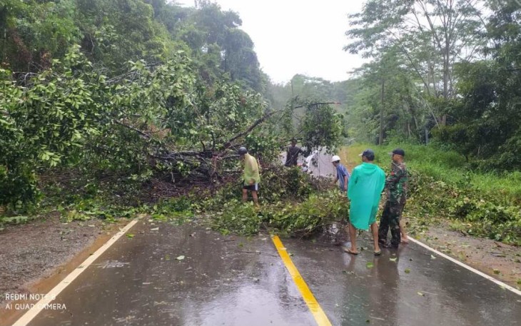Pembersihan pohon tumbang di jalan