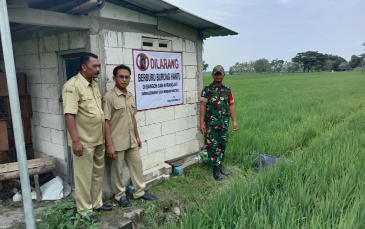 Himbauan Larangan Perburuan Burung Hantu