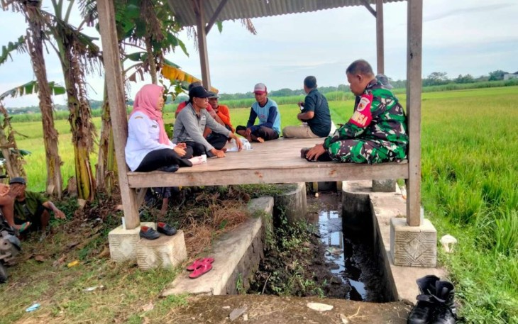 Penyuluhan pertanian di wilayah desa binaan 
