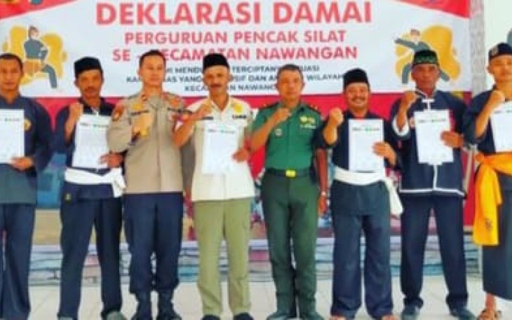 Deklarasi perguruan silat wilayah desa binaan 