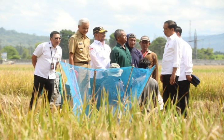 Panen raya padi di Kebumen Jawa Tengah 