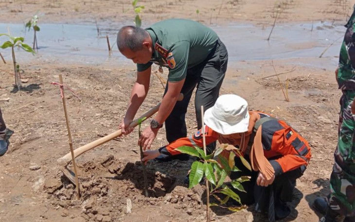 Penanaman mangrove di desa Sidomulyo 