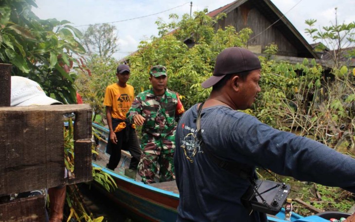 Penyemprotan gulma di area rawa