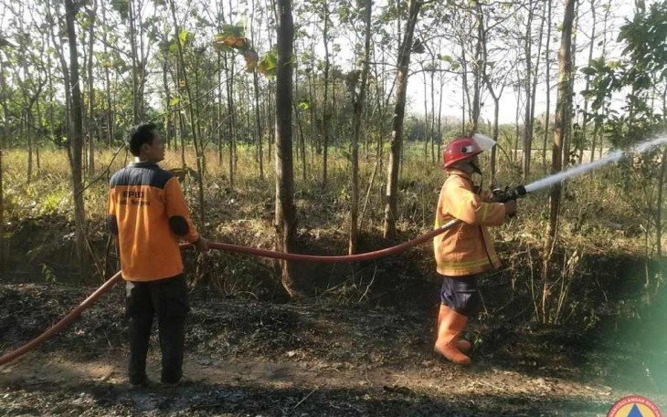 Petugas BNPB Kab Sragen ketika padamkan kebakaran lahan, Rabu (18/7)