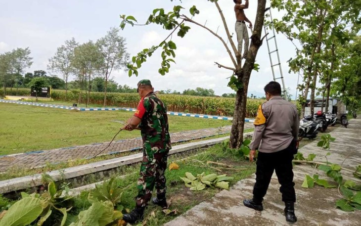 Pemangkasan pohon di pinggir jalan wilayah desa binaan 