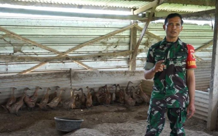 Serma Nurjain juragan bebek petelur, Sabtu (23/9)