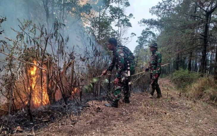 Prajurit Korem 081/DSJ saat memadamkan kebakaran hutan