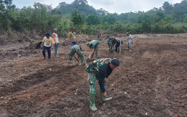 Progres Pembukaan Lahan Baru Untuk Lapangan Sasaran Program TMMD 118 Capai 64 Persen 