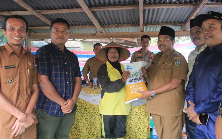 Benny Utama Serahkan Bantuan Bibit Jagung dan Kopi Kepada Sejumlah Kelompok Tani Duo Koto 