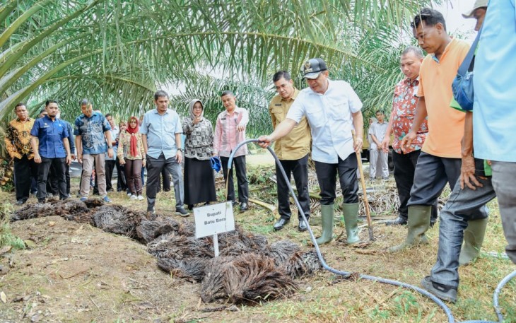 Bupati Batu Bara Tinjau Lokasi Dekomposer Pupuk Organik Limbah Sawit 