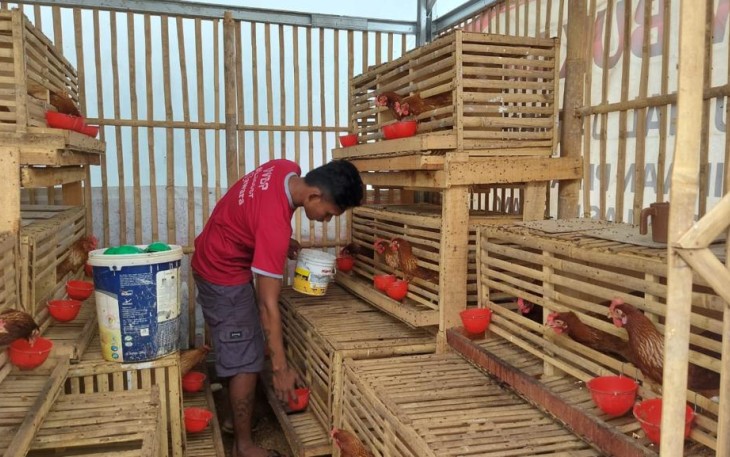 Program Budidaya Ayam Petelur Warga Binaan Permasyarakatan Lapas Serang, Minggu (3/12)