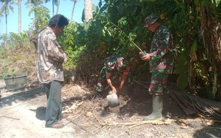 Penanaman bibit pohon cegah bencana alam