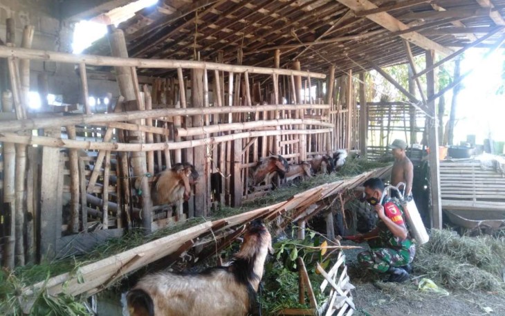 Penyemprotan kandang warga binaan
