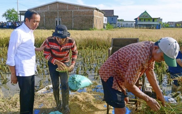 Presiden Joko Widodo meninjau secara langsung pelaksanaan panen raya padi di Kabupaten Maros, Provinsi Sulawesi Selatan, pada Kamis pagi, 30 Maret 2023