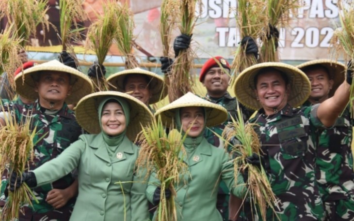 Pusdiklatpassus Kopassus menggelar Panen Raya Padi lnpari 42 dilahan tadah hujan seluas 32 hektare, di Batujajar, Bandung, Jawa Barat, Senin (27/2/2023). Foto : Istimewa.
