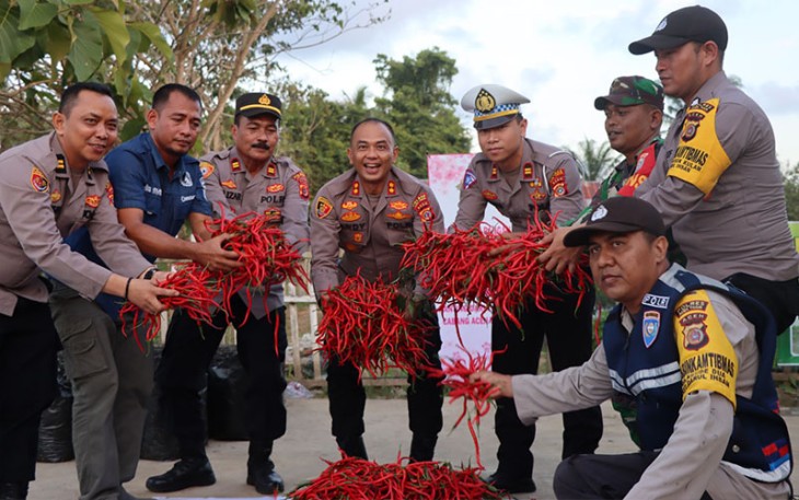 Kapolres Aceh Timur AKBP Andy Rahmansyah, S.I.K., saat mengunjungi Polsek Darul Ihsan untuk memanen cabai yang hasilnya dibagikan kepada masyarakat di sekitar Polsek Darul Ihsan.