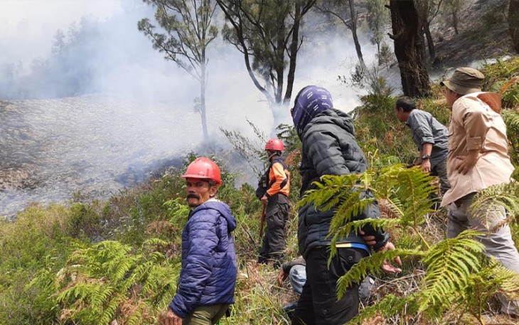 Karhutla Terjadi di Bukit Teletubies Gunung Bromo