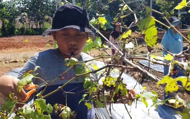 Salah satu metode pembelajaran di sekolah Alfa Kids