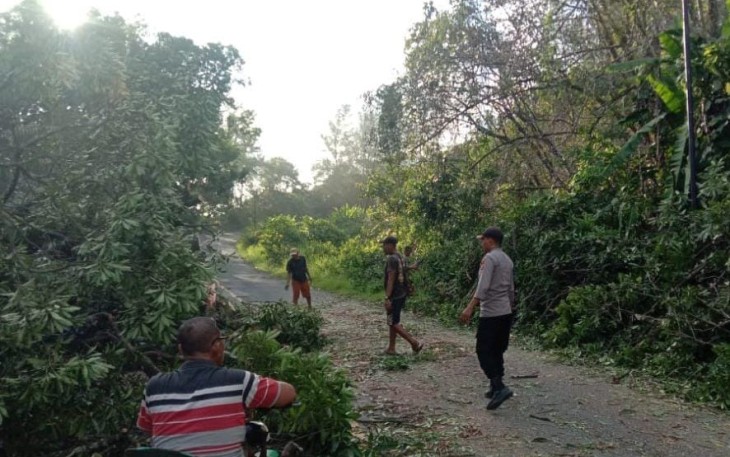  Bhabinkamtibmas Polsek Putri Hijau Dan Warga Saat Evakuasi Pohon Tumbang 