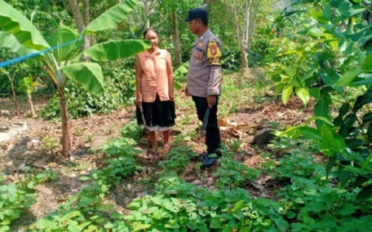 Bhabinkamtibmas Polsek Enggano Tinjau Lahan Program Ketahan Pangan 