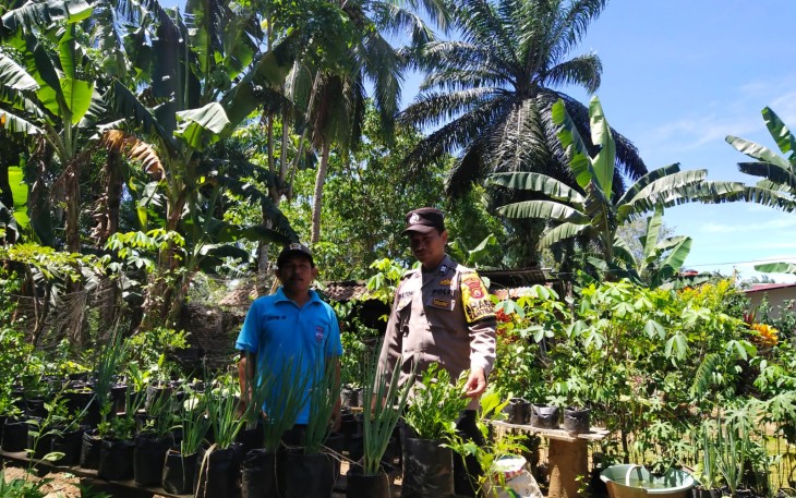 Bhabinkamtibmas Polsek Putri Hijau Kunjungi Lahan Holtikultura