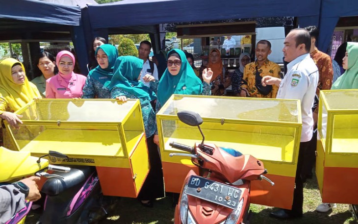 Sinergitas Lintas Program TP PKK Kaur 