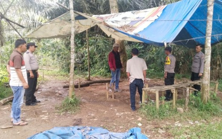 Polsek Sipirok Seser Lokasi Diduga Tempat Sabung Ayam