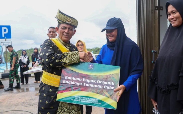 Gubernur Kepri H Ansar Ahmad   
